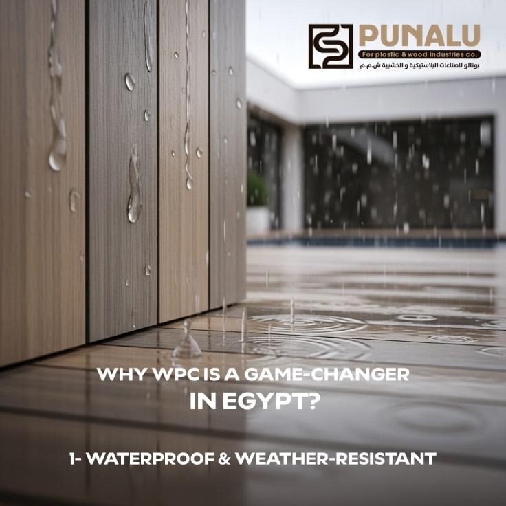 WPC Material Close up