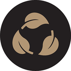 ENVIRONMENT SUSTAINABILITY